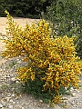 Patagonie 374